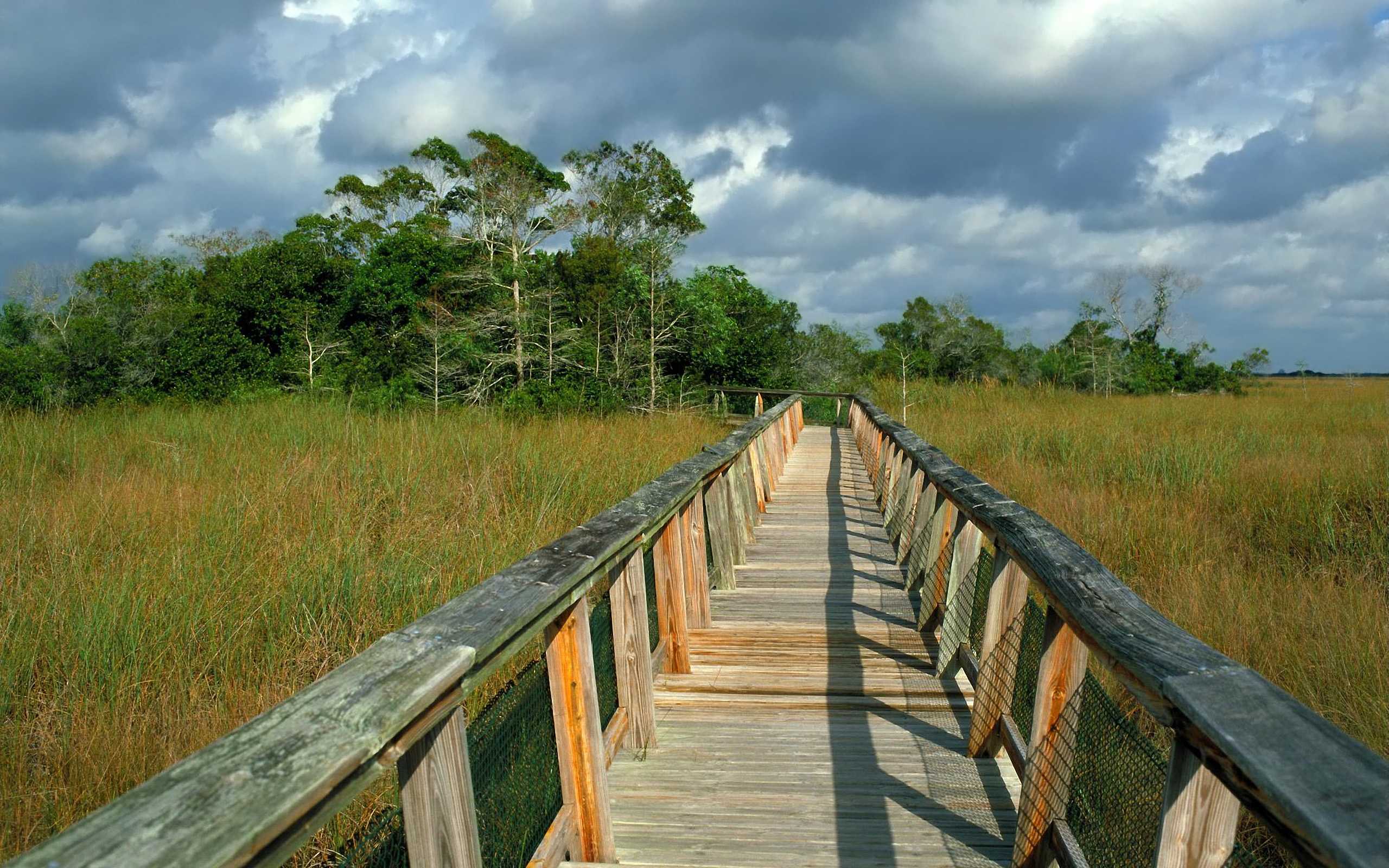 Image result for mahogany hammock trail