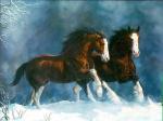 Horse 9